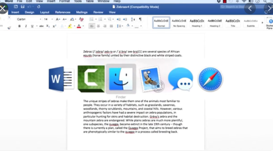 windows word for mac free download